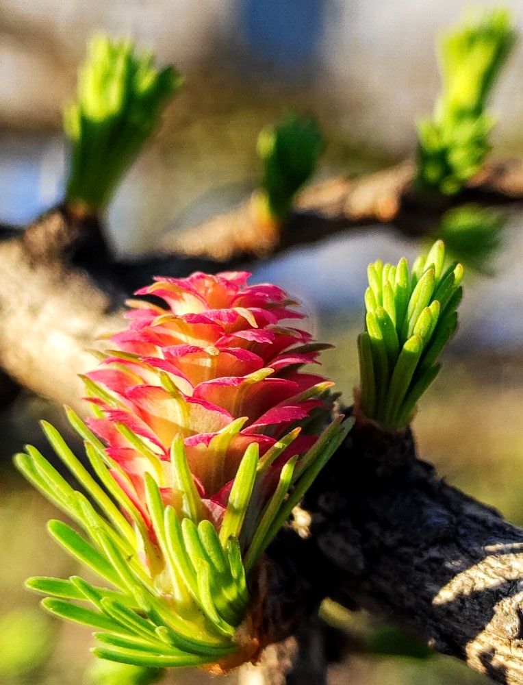 Photograph by Натали ДанКо