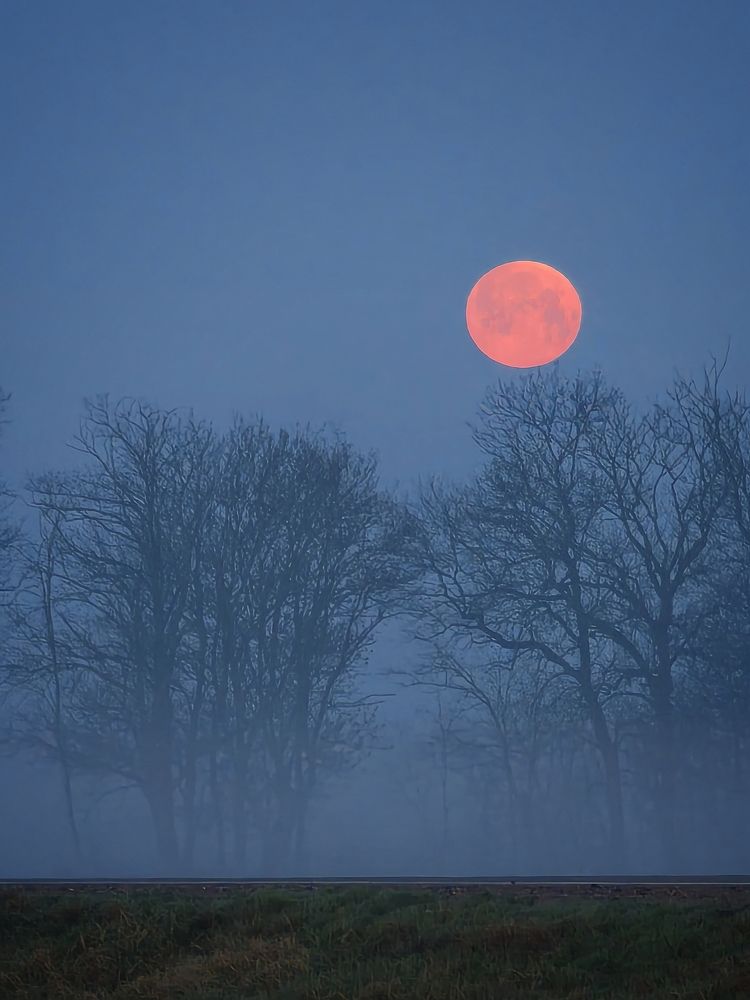 Photograph by Михаил Саидов