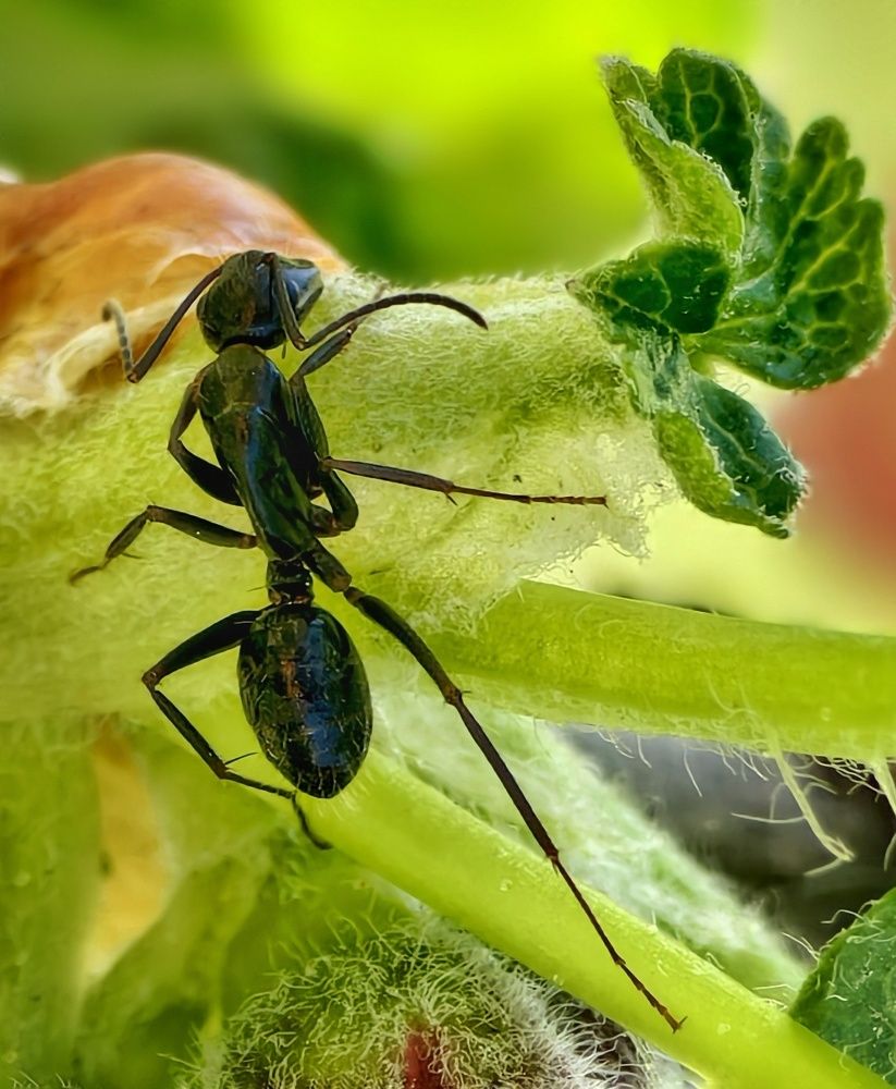 Photograph by Михаил Саидов