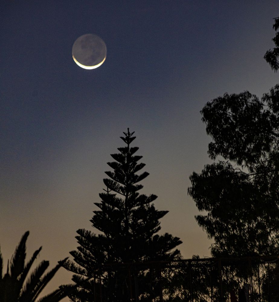 Photograph by Humberto Rico