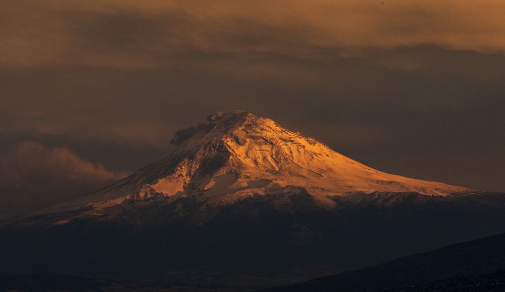 Photograph by Humberto Rico