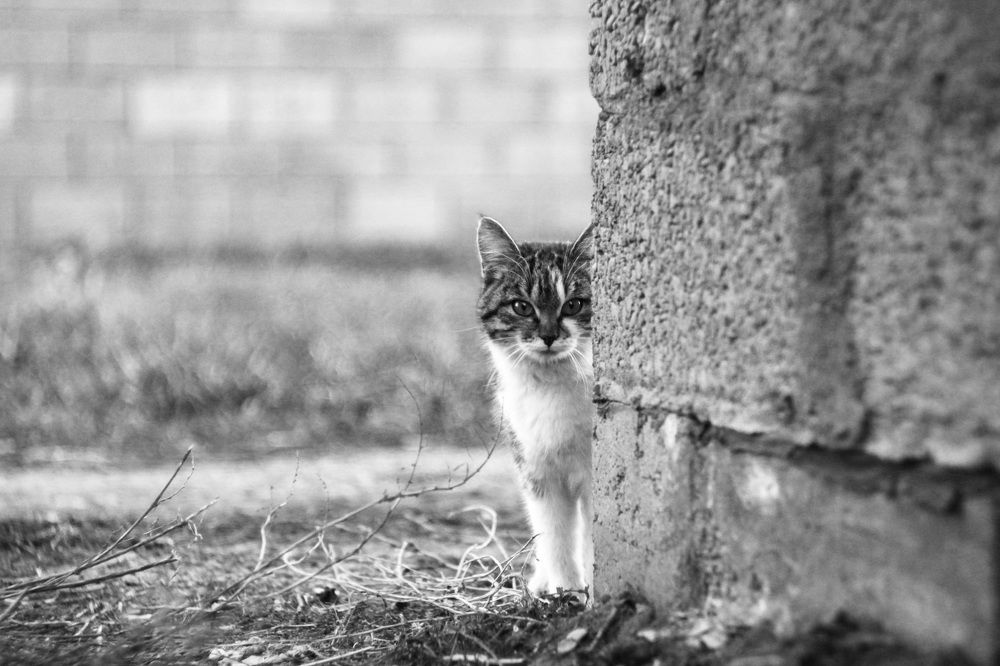Photograph by Адиля Шарипова