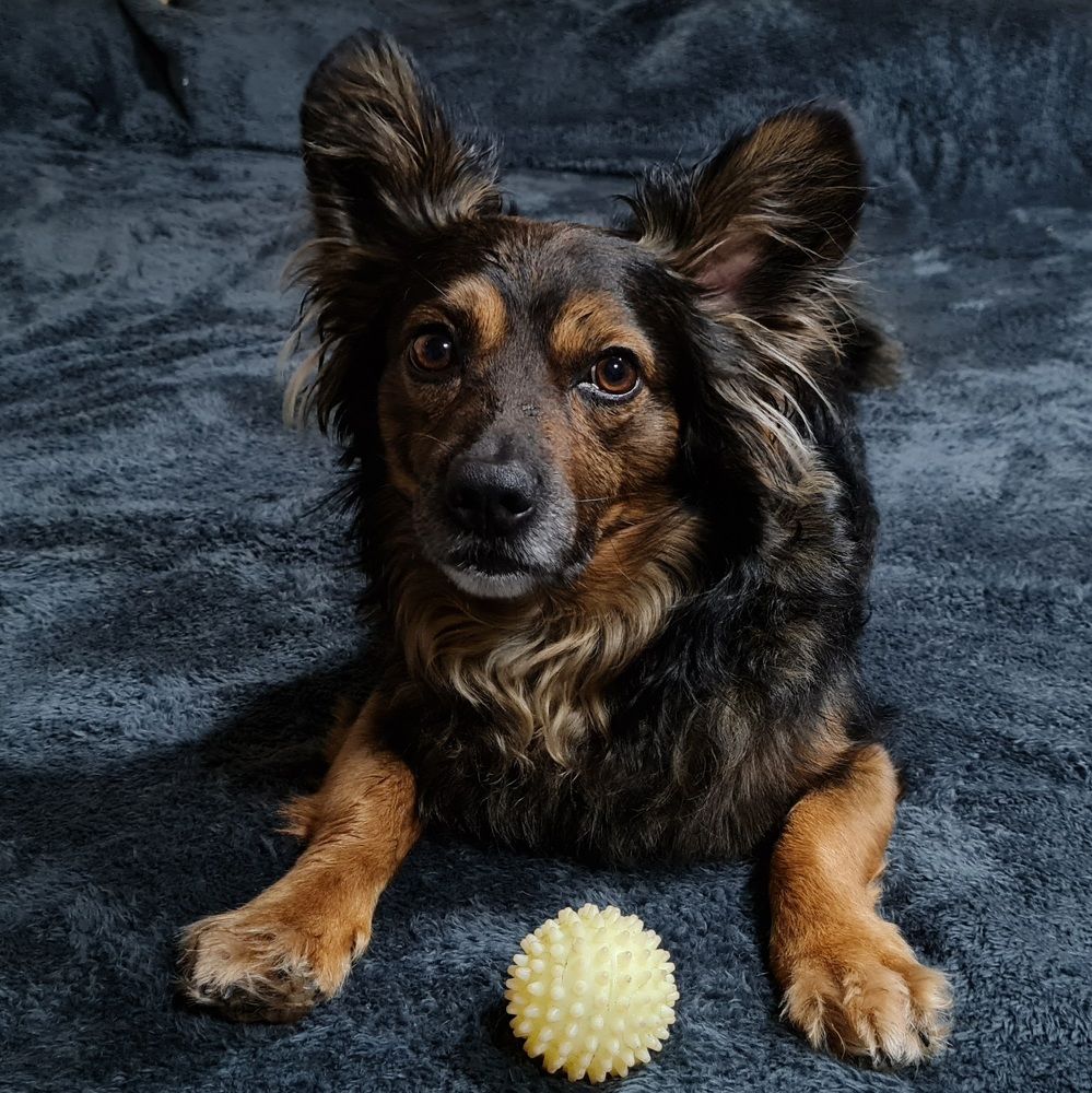 Photograph by Евгения Гриднева