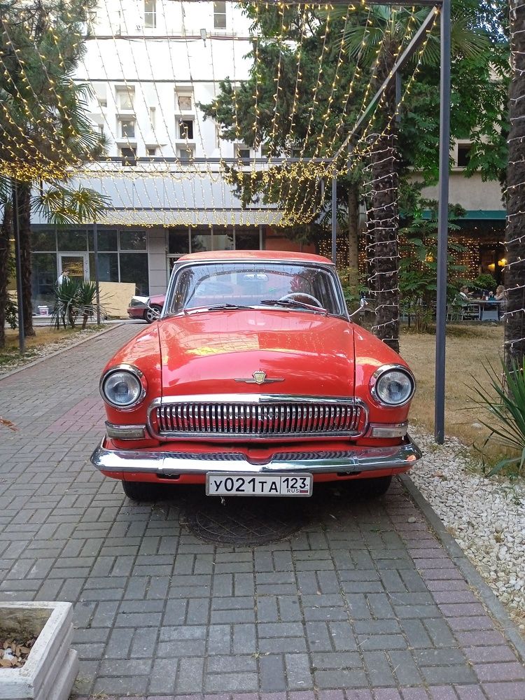 Photo #10534755