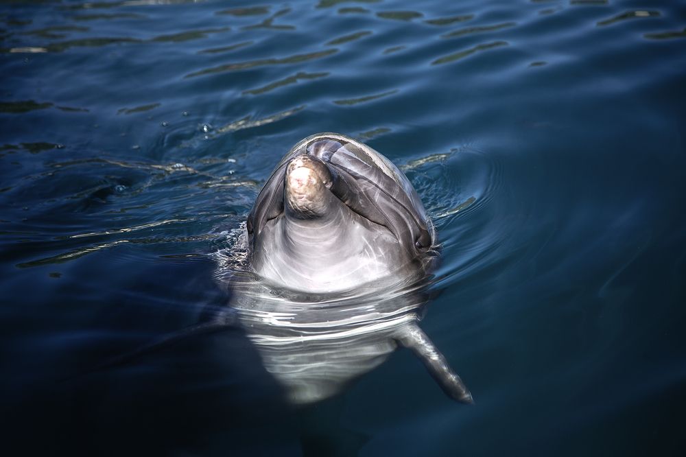 Photograph by Макаров Роман