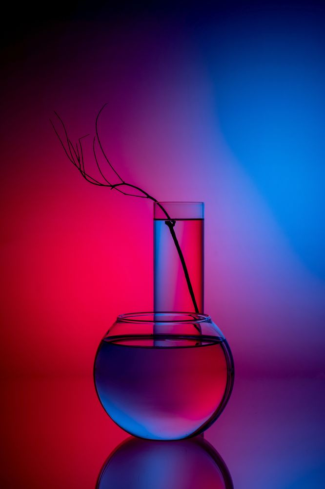 Photograph by Лапин Сергей