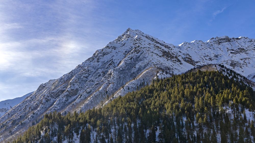 Photograph by Chirag P Chordia