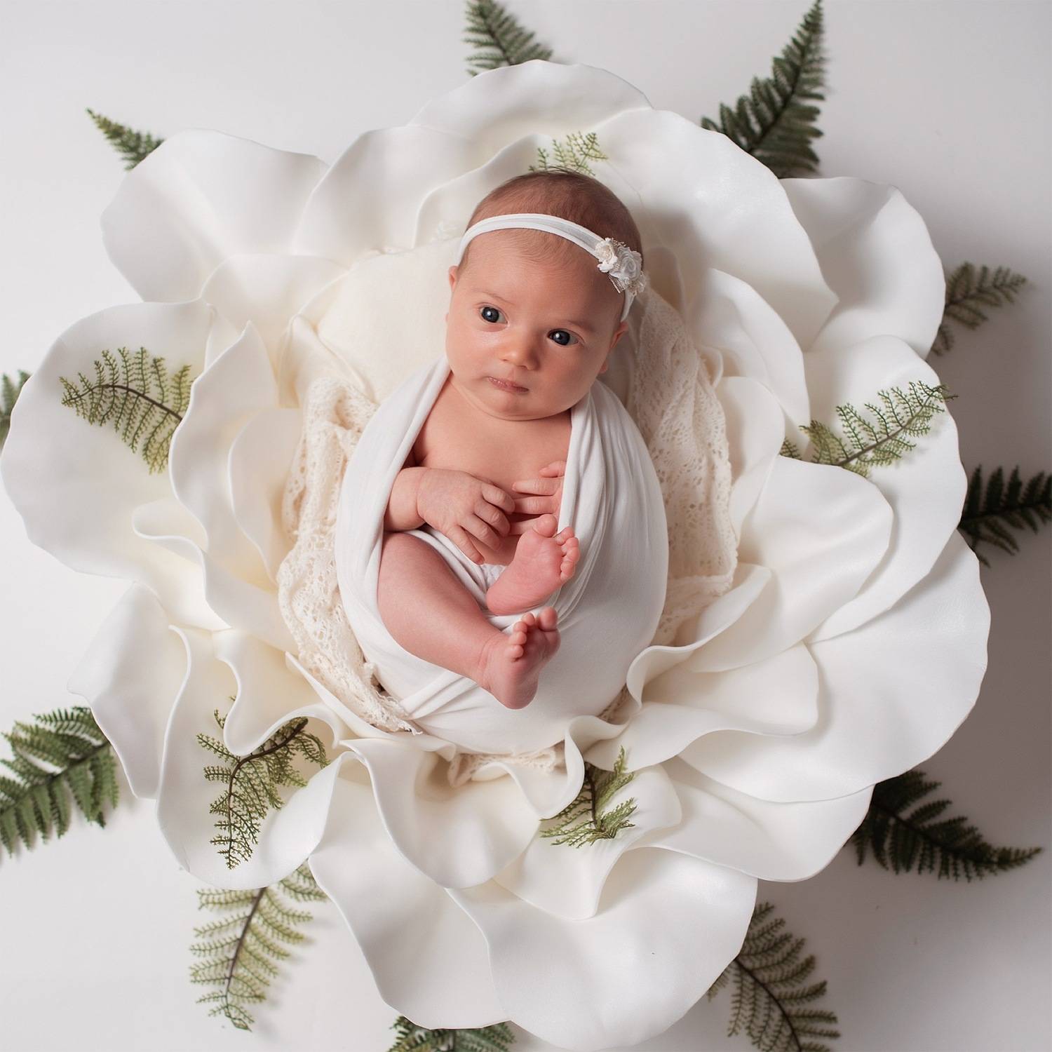 Фотография #10534979