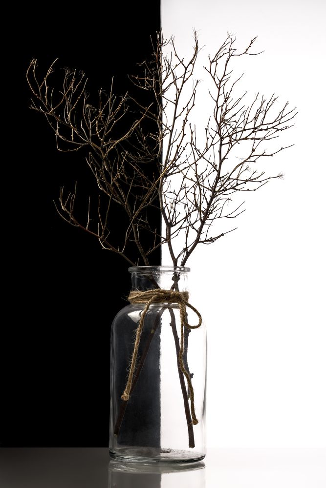 Photograph by Николай Дибров