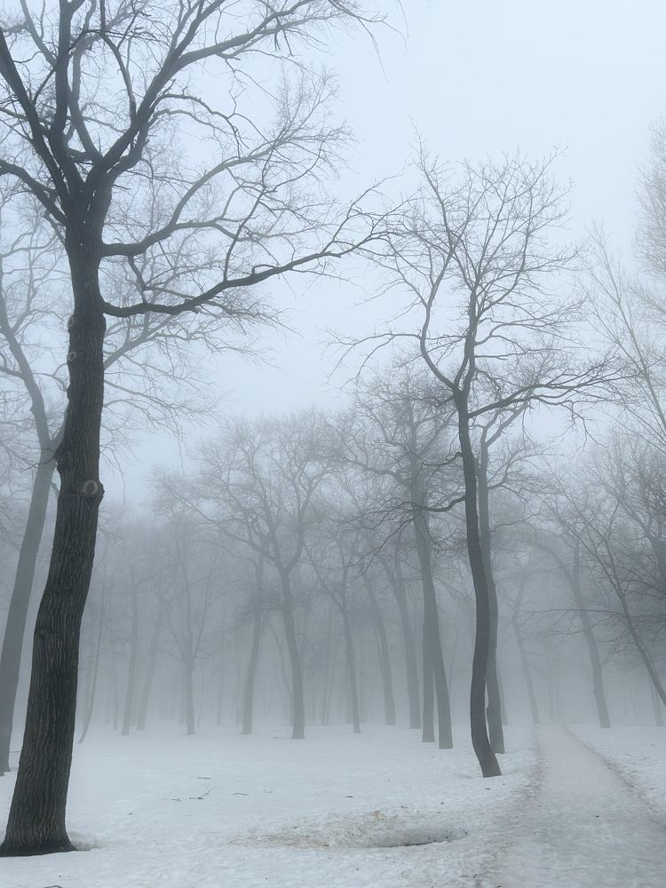 Photograph by Светлана Тютина