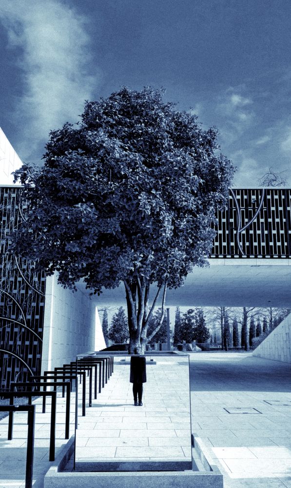 Photograph by Буданова Мария