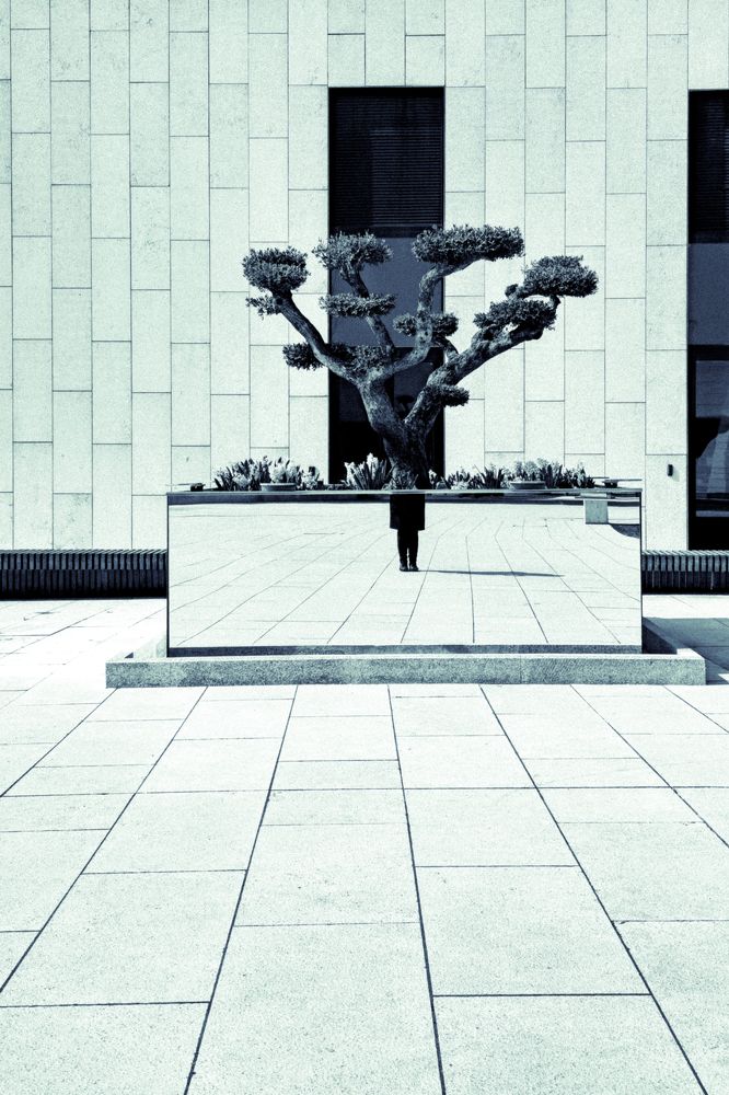 Photograph by Буданова Мария