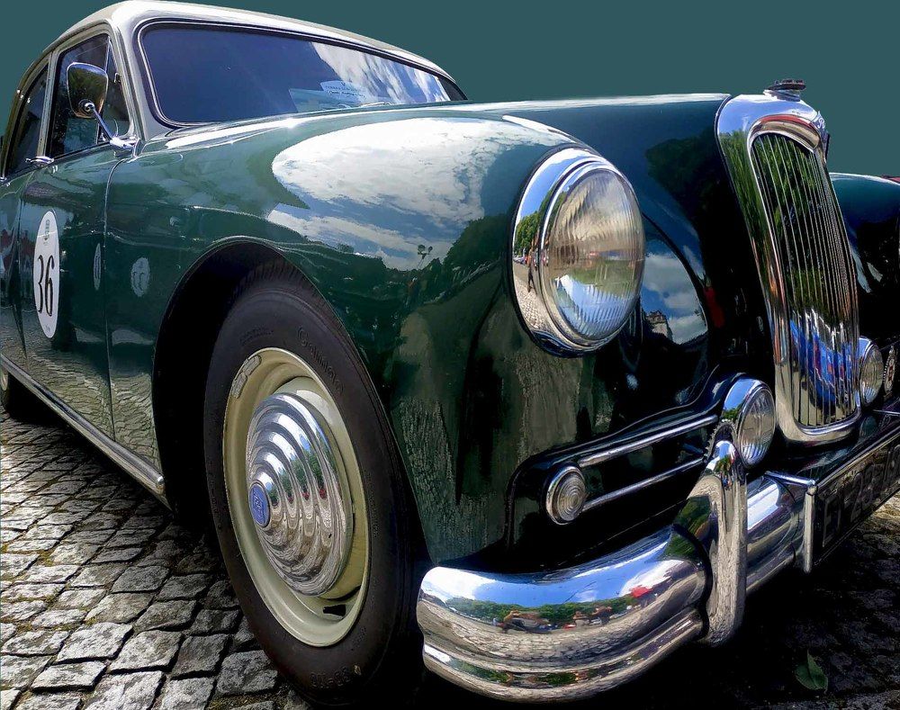 Photograph by JOSE LIMA RODRIGUES