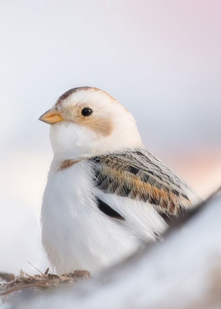 Photograph by Дарья