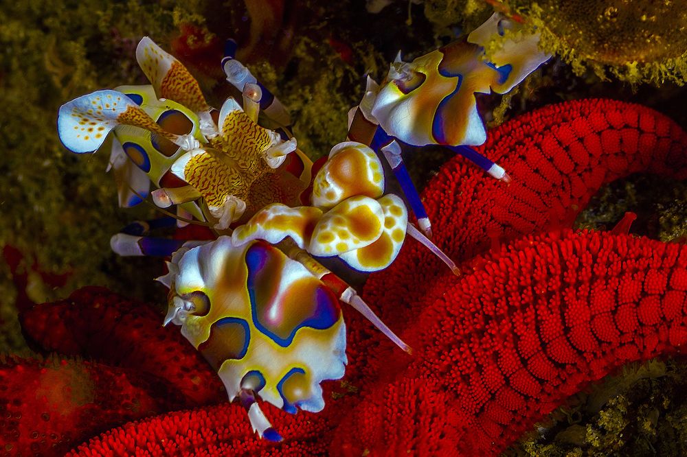 Photograph by Peet J Van Eeden