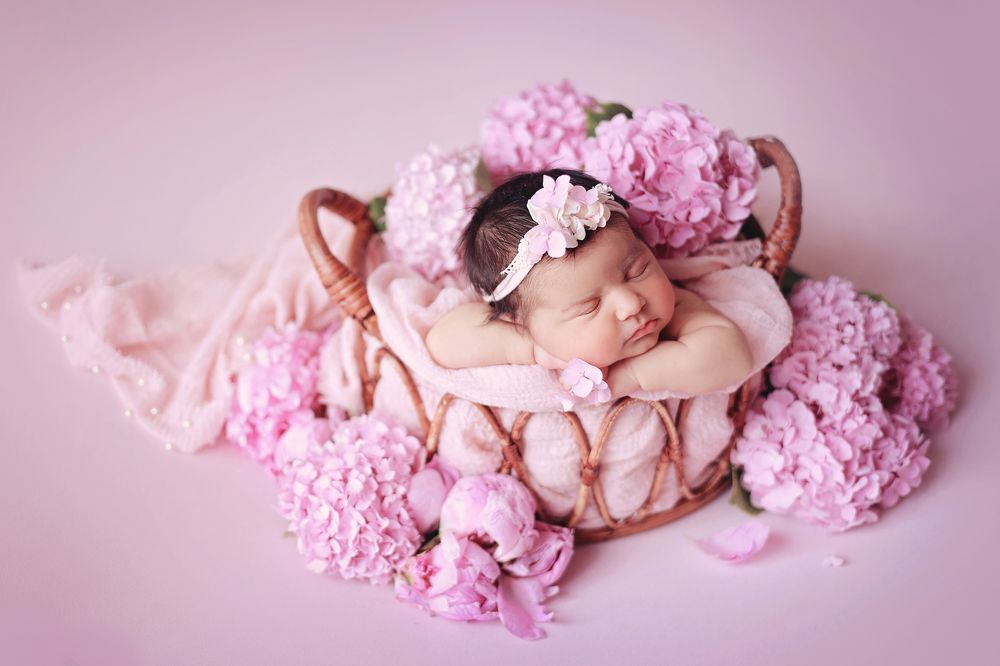 Photograph by Гаврильцова Светлана