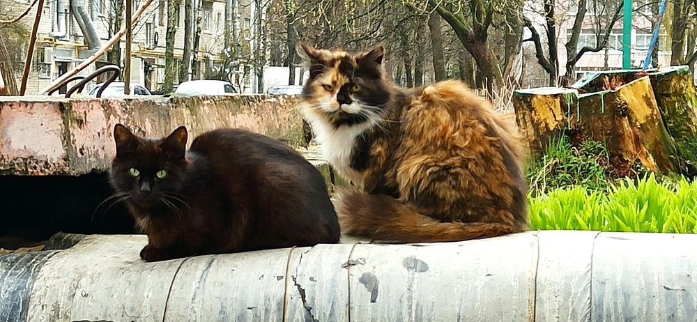 Photograph by Светлана Логинова