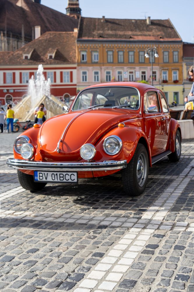 Фотография автора Ирина Зайцева