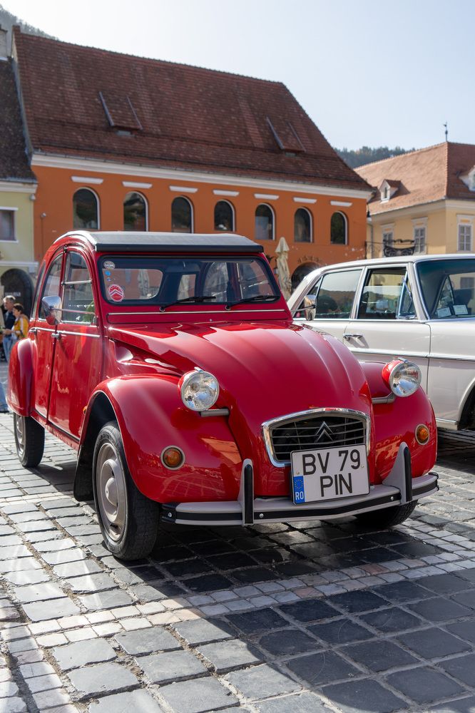 Фотография автора Ирина Зайцева