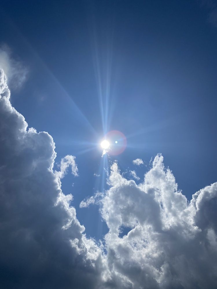 Фотография автора Meline Mikoyan