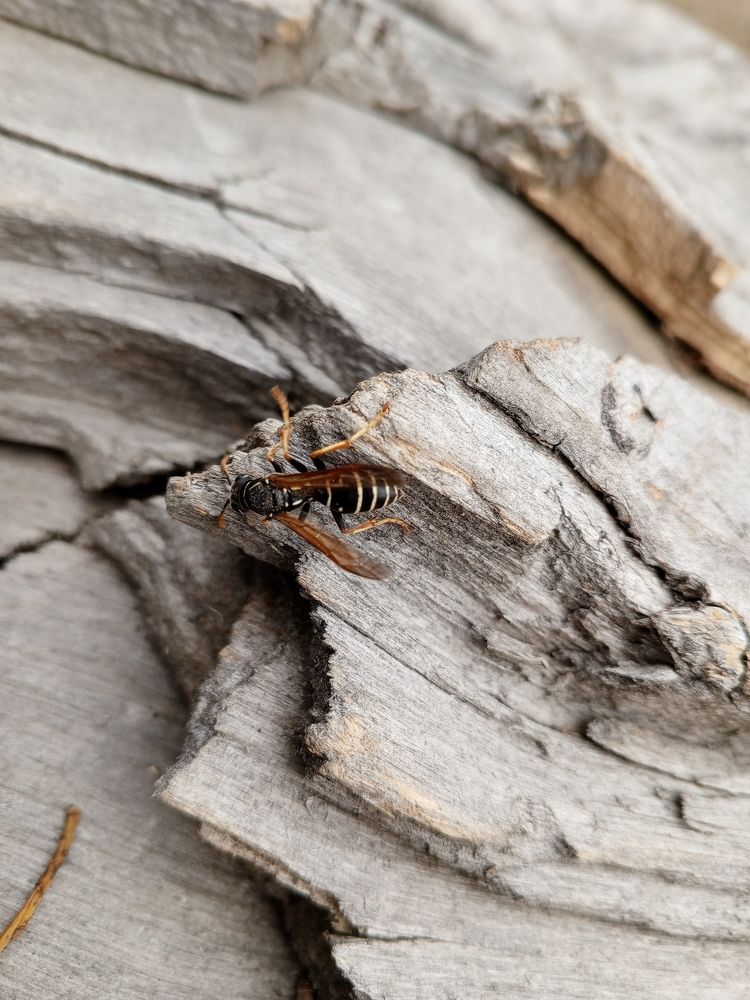 Photograph by Татьяна Николаевна