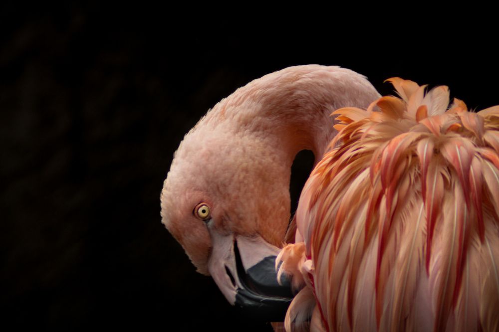 Photograph by Ricardo Venerando