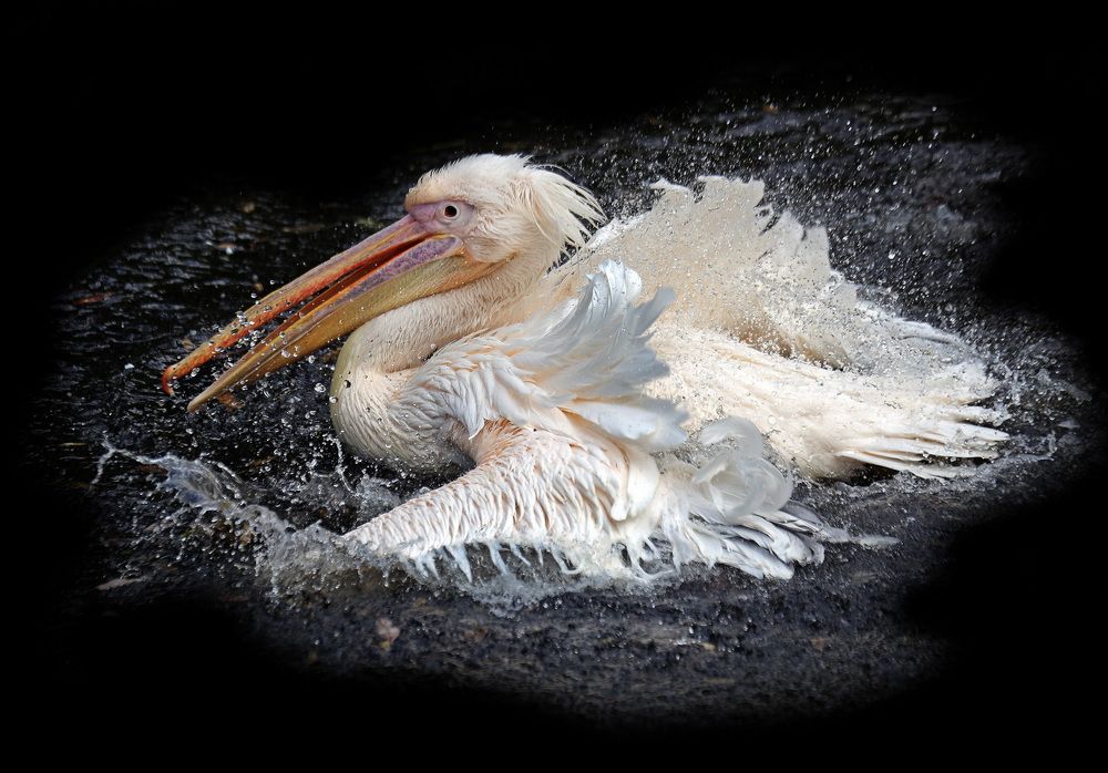 Photograph by Бибичков Михаил