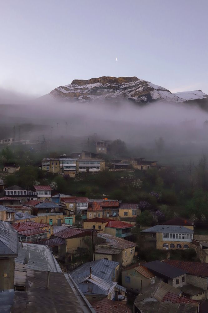 Фотография автора Регина Кириллова