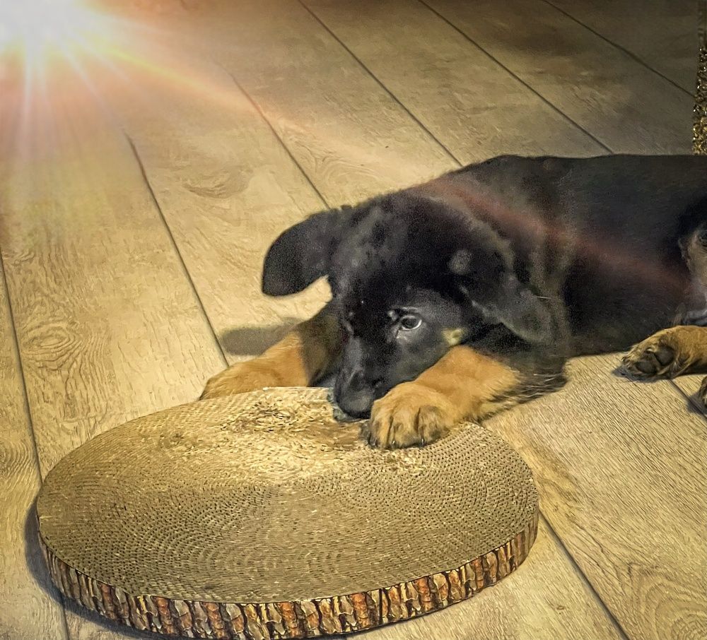 Photograph by Татьяна Михайловна