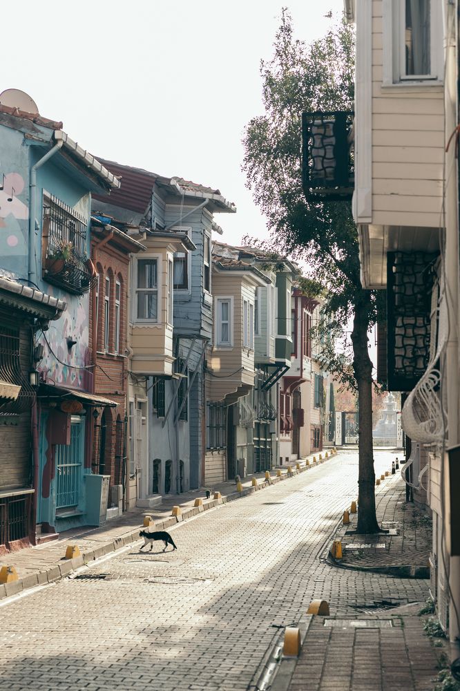 Фотография автора Регина Кириллова