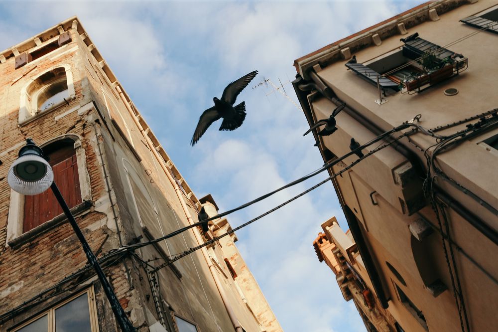 Фотография автора Регина Кириллова