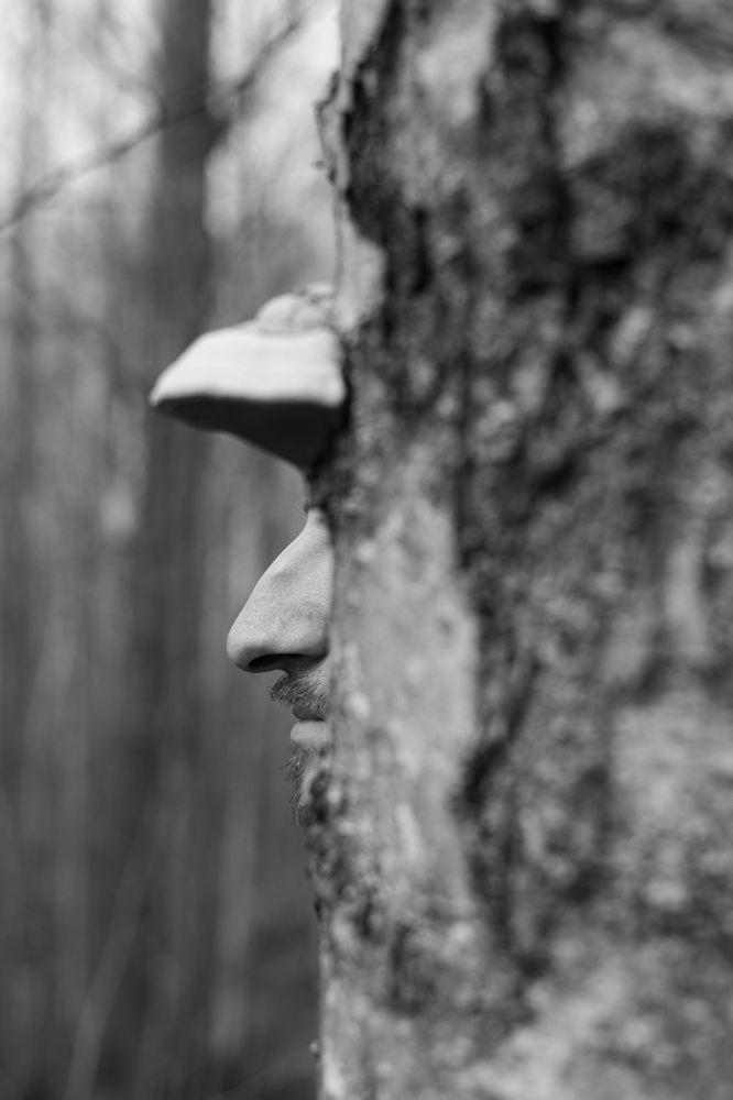 Фотография автора Алина Павлова