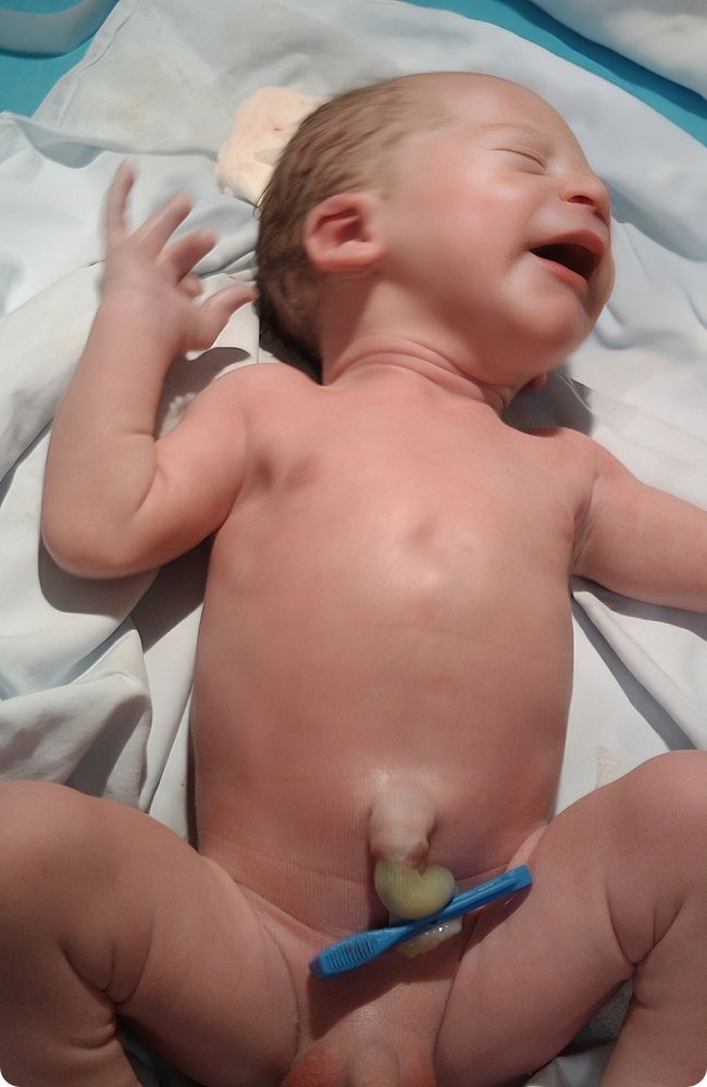 Newborn