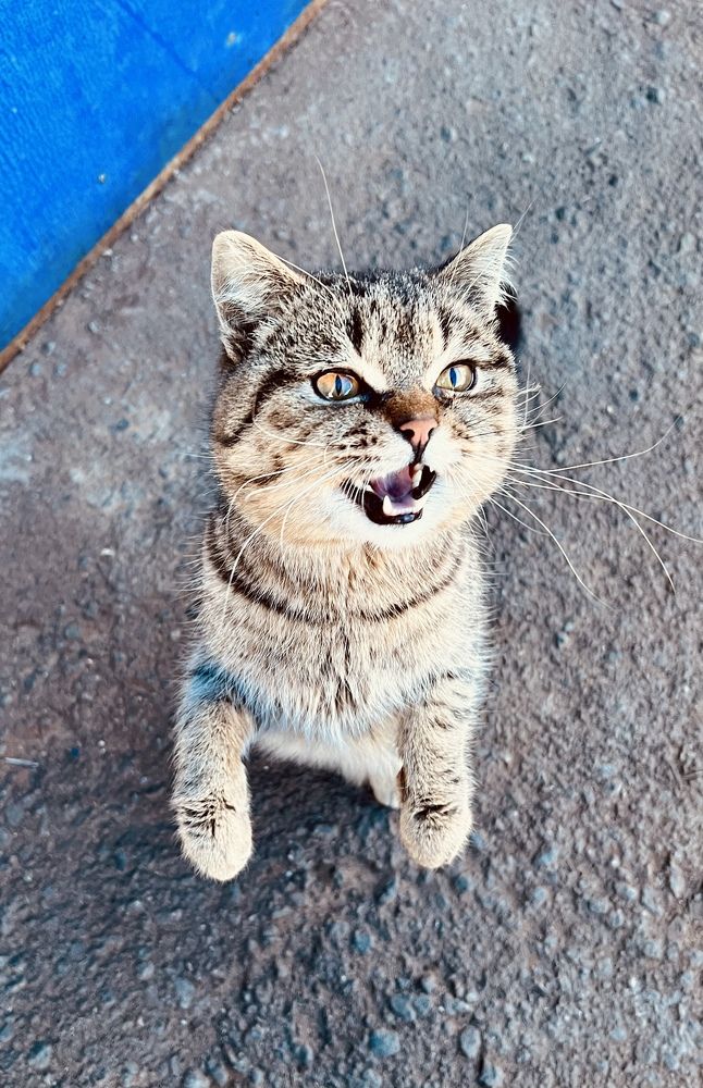 Photograph by Татьяна Михайловна