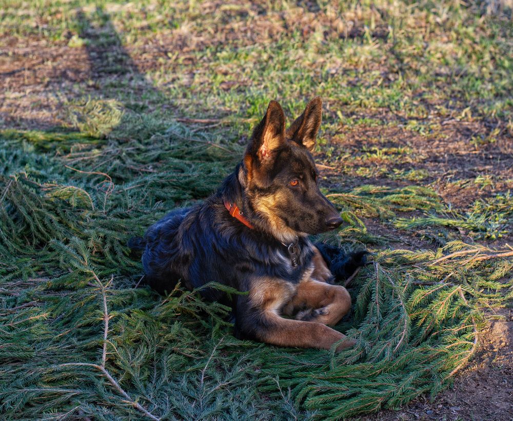Photograph by Татьяна Михайловна