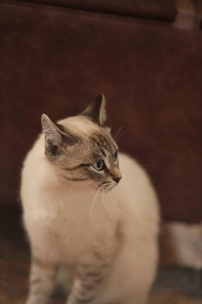 Photograph by Светлана Шевченко