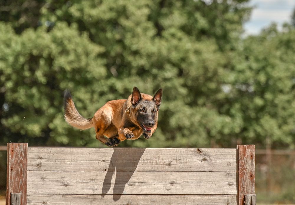 Photograph by Милана Бабченко