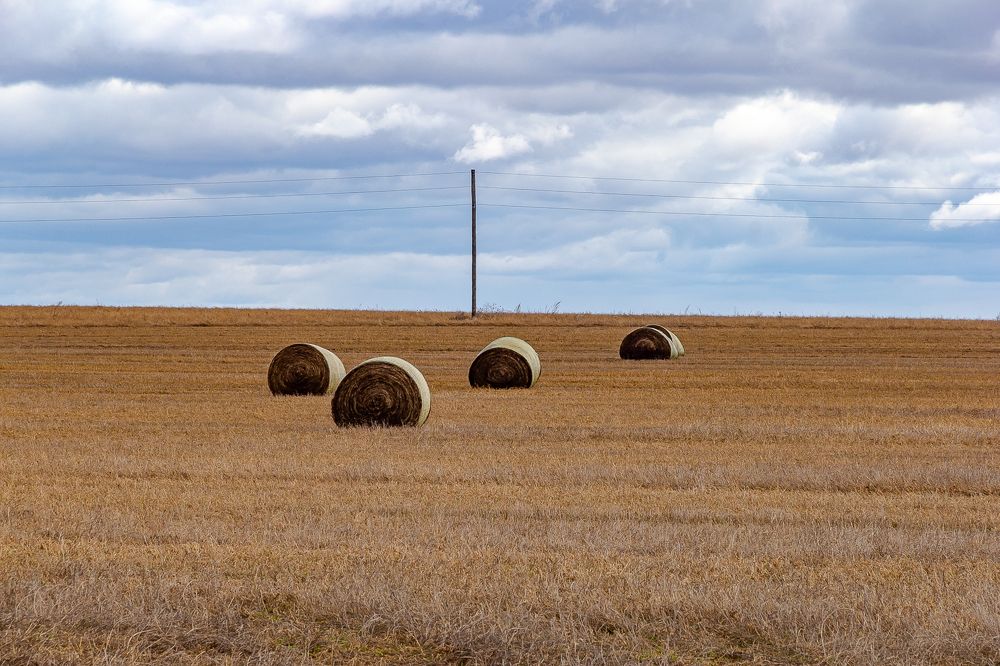 Photograph by Влад Сорокин
