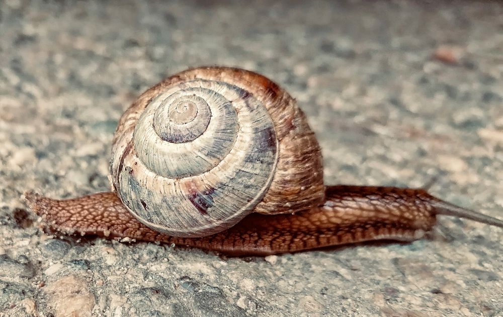 Photograph by Татьяна Михайловна