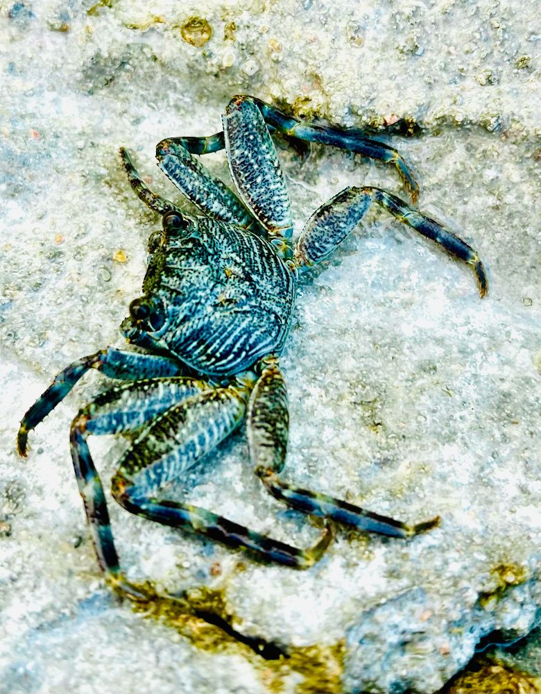 Photograph by Татьяна Михайловна