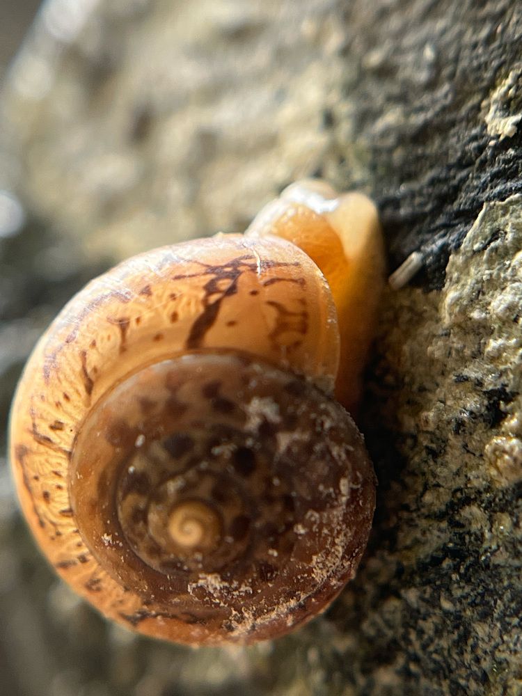 Photograph by Татьяна Михайловна