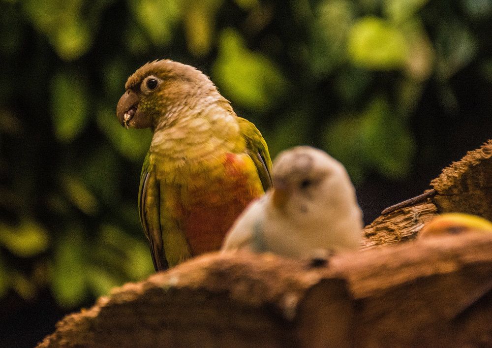 Photograph by Eslam ElsayedEldaramlly