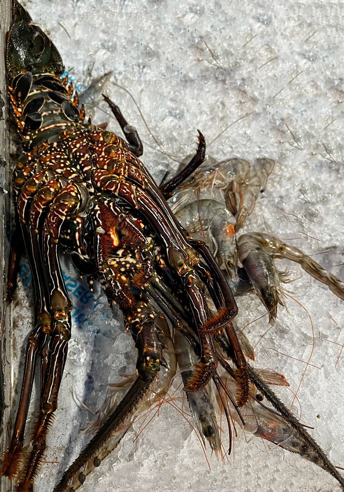 Photograph by Татьяна Михайловна