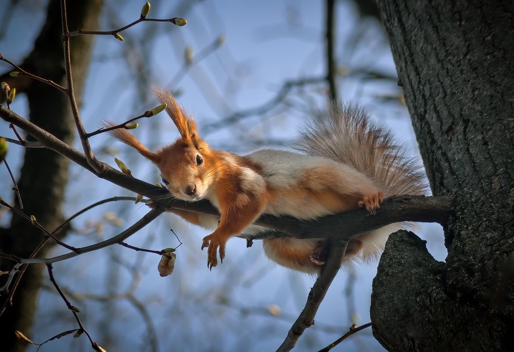 Просто я устала