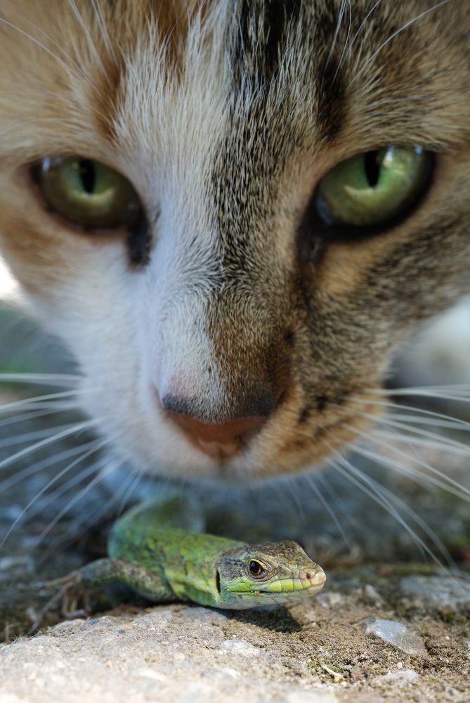 Photograph by Halil İbrahim KAHYA