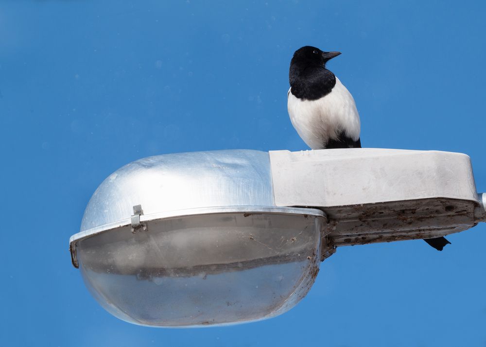 Photograph by Тамара Вотинцева