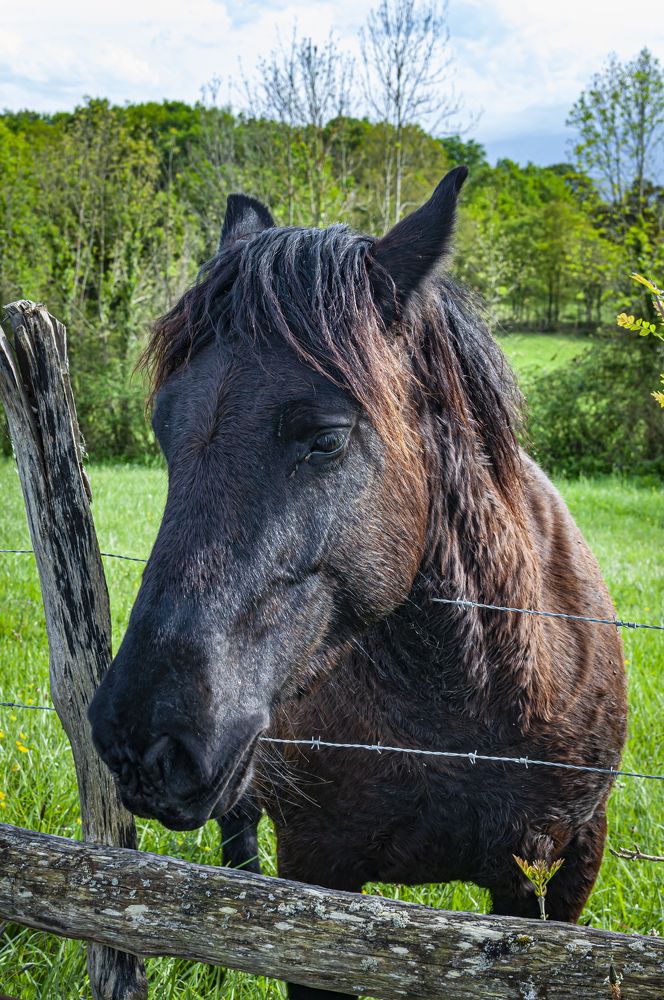 Photograph by SERGUEI KALINKIN SÁNCHEZ