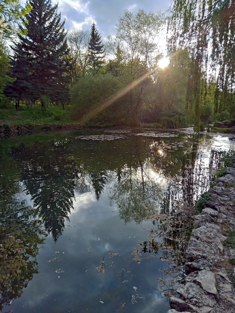 Photo #10536326