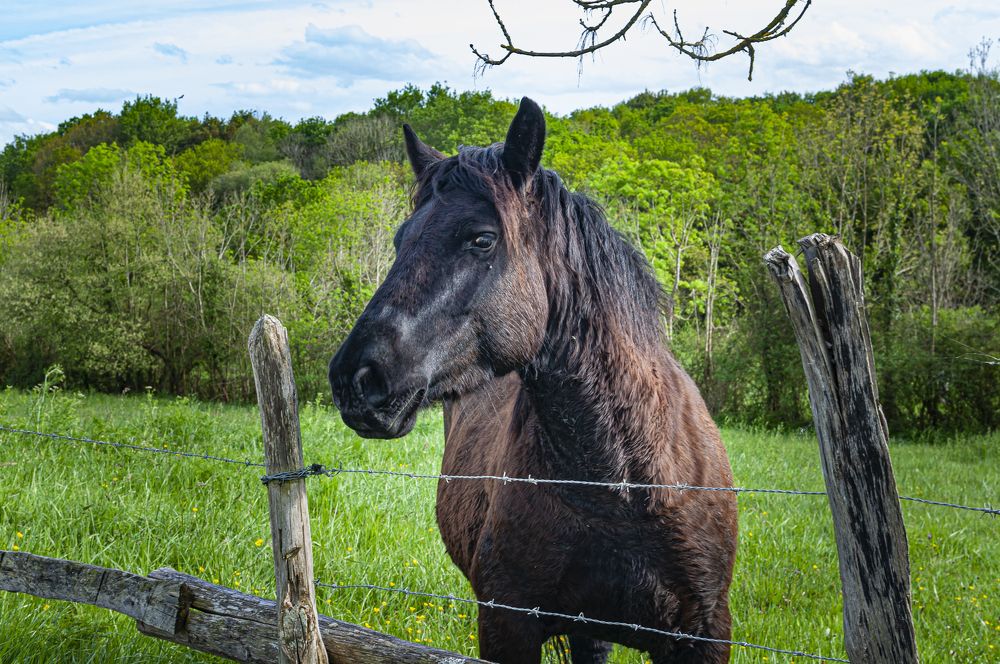 Photograph by SERGUEI KALINKIN SÁNCHEZ