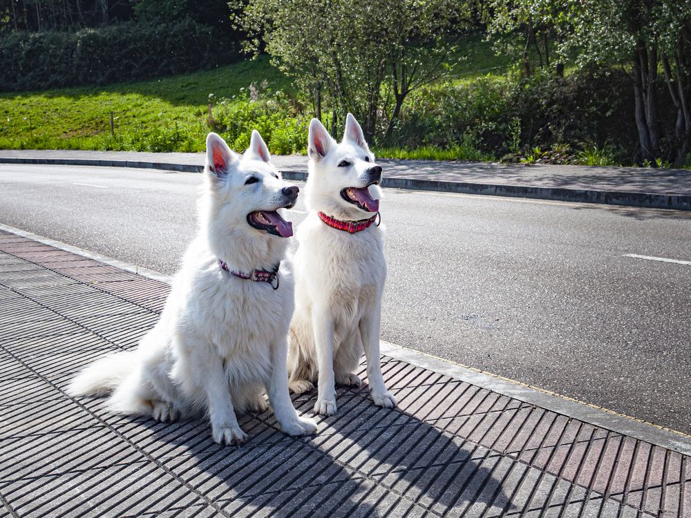 Photograph by SERGUEI KALINKIN SÁNCHEZ